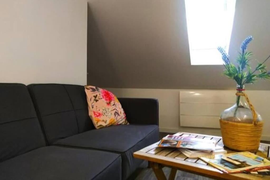 מונטובן Le Cours Foucault - 3 Appartements - 8 Couchages מראה חיצוני תמונה